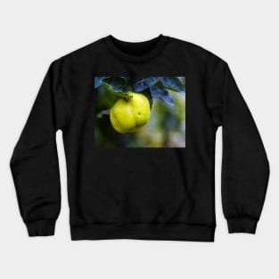 Yellow ripe quince on branch Crewneck Sweatshirt